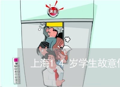 上海14岁学生故意伤害罪/2023032050304 上海14岁学生故意伤害罪/2023032050304