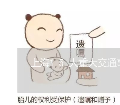 上海15人重大交通事故/2023030138261