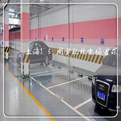上海15周岁犯故意伤害罪/2023032010160 上海15周岁犯故意伤害罪/2023032010160