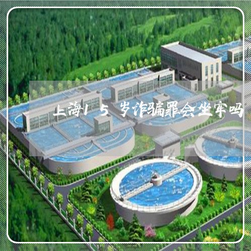 上海15岁诈骗罪会坐牢吗/2023032070798