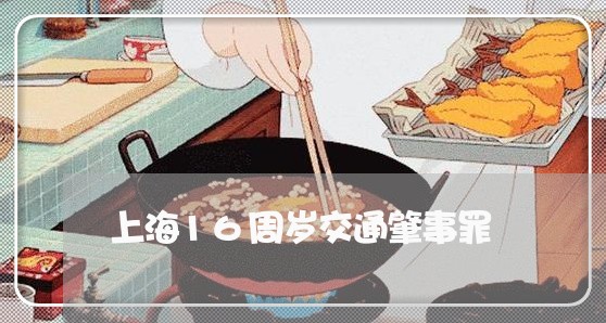 上海16周岁交通肇事罪/2023030182403 上海16周岁交通肇事罪/2023030182403