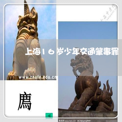 上海16岁少年交通肇事罪/2023032060472
