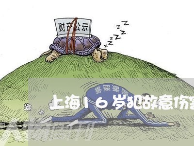 上海16岁犯故意伤害罪/2023030106849 上海16岁犯故意伤害罪/2023030106849