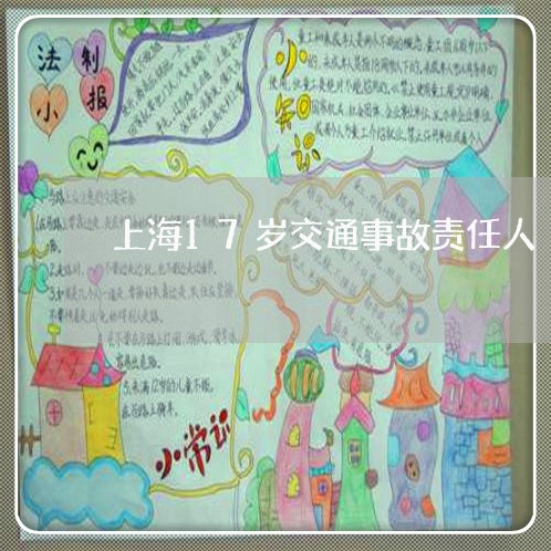 上海17岁交通事故责任人/2023032094918 上海17岁交通事故责任人/2023032094918