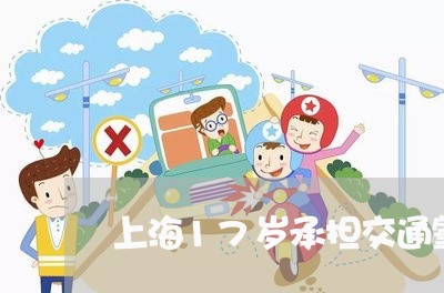 上海17岁承担交通肇事/2023030195827 上海17岁承担交通肇事/2023030195827