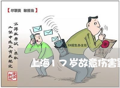 上海17岁故意伤害罪量刑/2023032058282