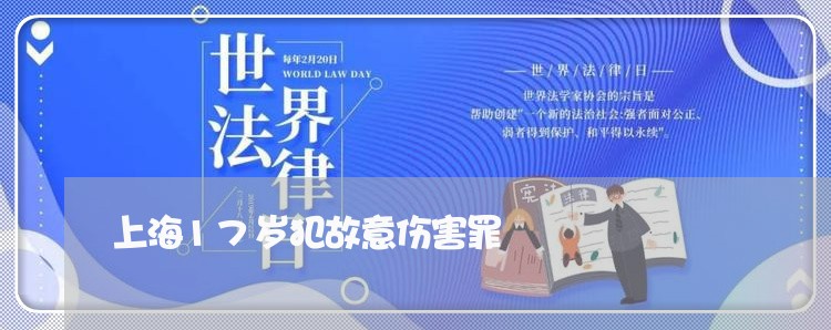 上海17岁犯故意伤害罪/2023030164048 上海17岁犯故意伤害罪/2023030164048