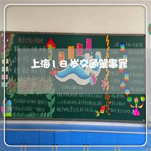 上海18岁交通肇事罪/2023021403969 上海18岁交通肇事罪/2023021403969