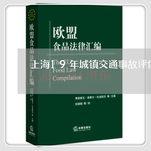 上海19年城镇交通事故评估/2023041450704