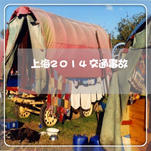上海2014交通事故/2023021494614 上海2014交通事故/2023021494614
