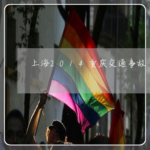 上海2014重庆交通事故/2023032040501 上海2014重庆交通事故/2023032040501