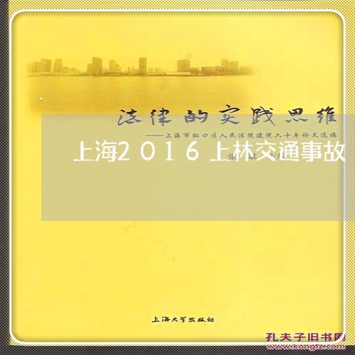 上海2016上林交通事故/2023032004826