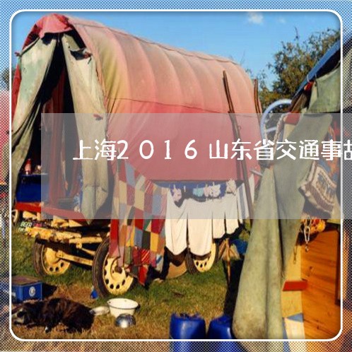 上海2016山东省交通事故/2023041449525 上海2016山东省交通事故/2023041449525