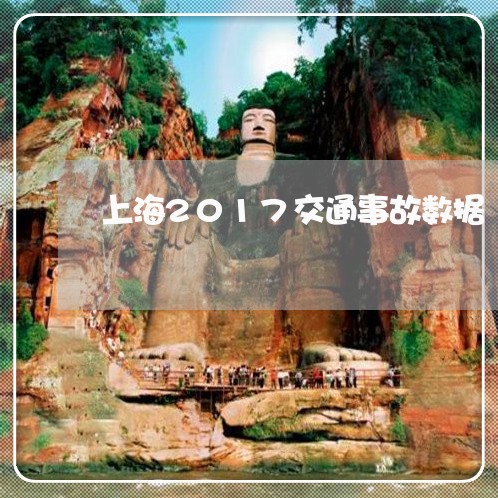 上海2017交通事故数据/2023032028270