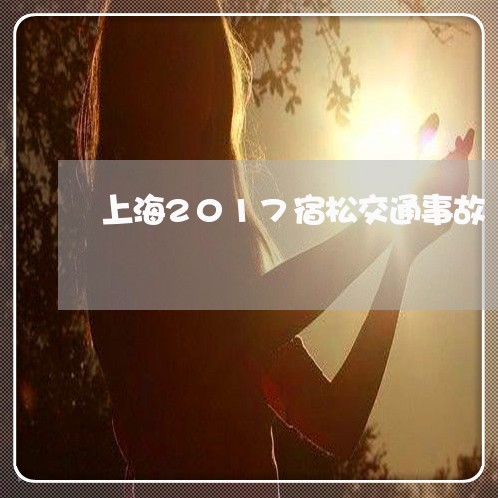 上海2017宿松交通事故/2023032093905 上海2017宿松交通事故/2023032093905