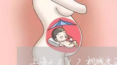 上海2017桐城交通事故/2023032003926 上海2017桐城交通事故/2023032003926
