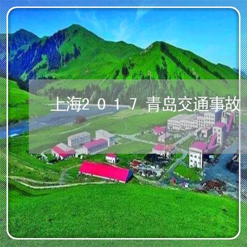 上海2017青岛交通事故/2023032036149 上海2017青岛交通事故/2023032036149
