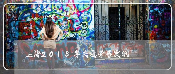 上海2018年交通肇事案例/2023041478592