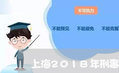 上海2018年刑事案件辩护/2023041422049