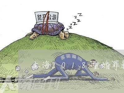 上海2018重婚罪新规/2023030137050