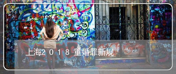 上海2018重婚罪新规/2023030161915