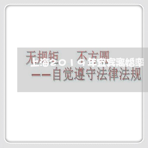 上海2019年宜宾离婚率/2023032169303