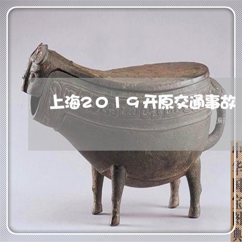 上海2019开原交通事故/2023032126948