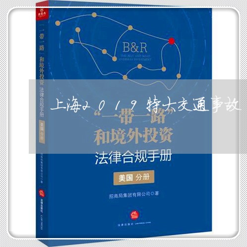 上海2019特大交通事故/2023032105025