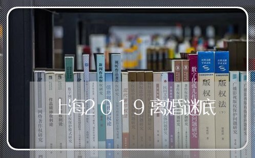 上海2019离婚谜底/2023021405816 上海2019离婚谜底/2023021405816