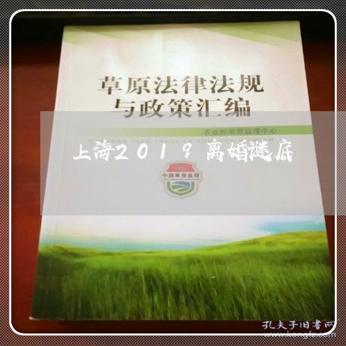 上海2019离婚谜底/2023021471705 上海2019离婚谜底/2023021471705