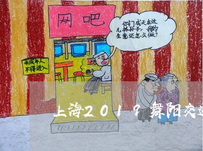 上海2019舞阳交通事故/2023032147262
