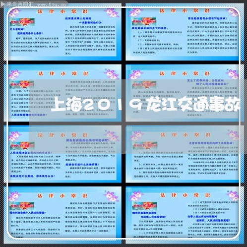 上海2019龙江交通事故/2023032182604 上海2019龙江交通事故/2023032182604