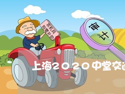 上海2020中堂交通事故/2023032193715 上海2020中堂交通事故/2023032193715