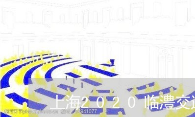 上海2020临澧交通事故/2023032103949 上海2020临澧交通事故/2023032103949