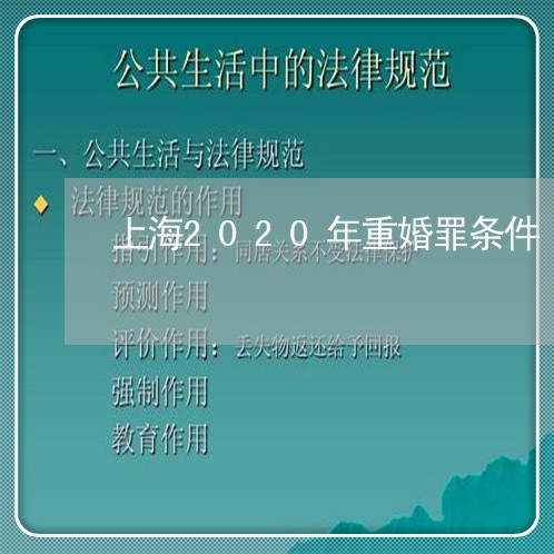 上海2020年重婚罪条件/2023032184817