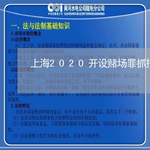 上海2020开设赌场罪抓捕/2023041484836