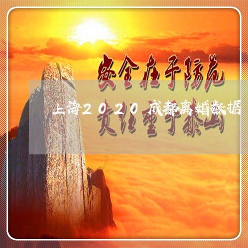 上海2020成都离婚数据/2023032105937 上海2020成都离婚数据/2023032105937