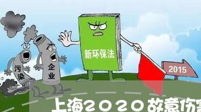 上海2020故意伤害罪/2023030214157