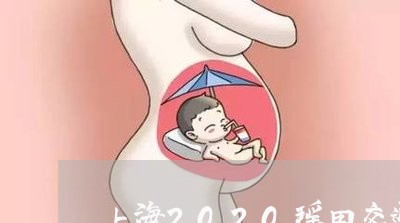 上海2020瑶田交通事故/2023032183715