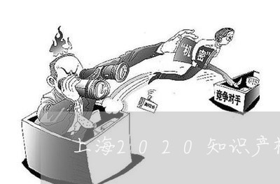 上海2020知识产权数据/2023032104836 上海2020知识产权数据/2023032104836