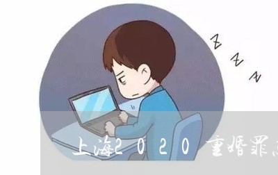 上海2020重婚罪怎么取证/2023041428693