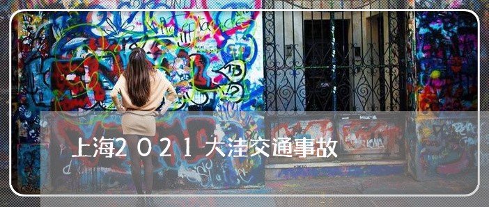上海2021大洼交通事故/2023032104846 上海2021大洼交通事故/2023032104846
