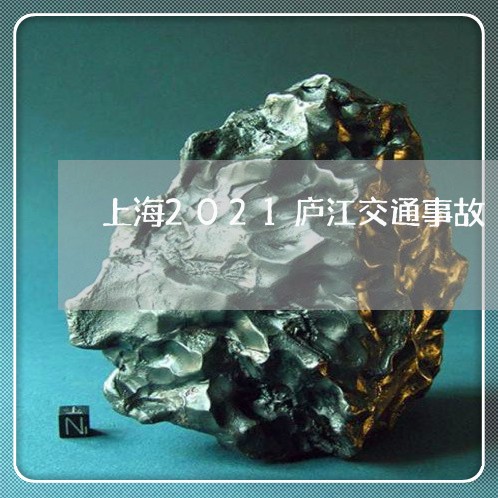 上海2021庐江交通事故/2023032013826 上海2021庐江交通事故/2023032013826