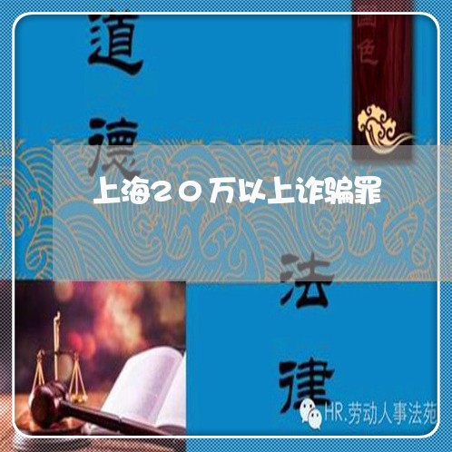 上海20万以上诈骗罪/2023021428261 上海20万以上诈骗罪/2023021428261