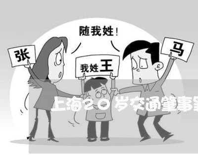 上海20岁交通肇事罪/2023021402615