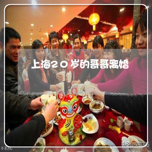 上海20岁的哥哥离婚/2023021428479 上海20岁的哥哥离婚/2023021428479