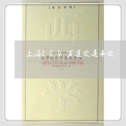上海220省道交通事故/2023030227260 上海220省道交通事故/2023030227260