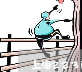 上海223商水交通事故/2023030260460 上海223商水交通事故/2023030260460