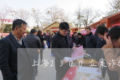 上海2300立案诈骗罪/2023030285815