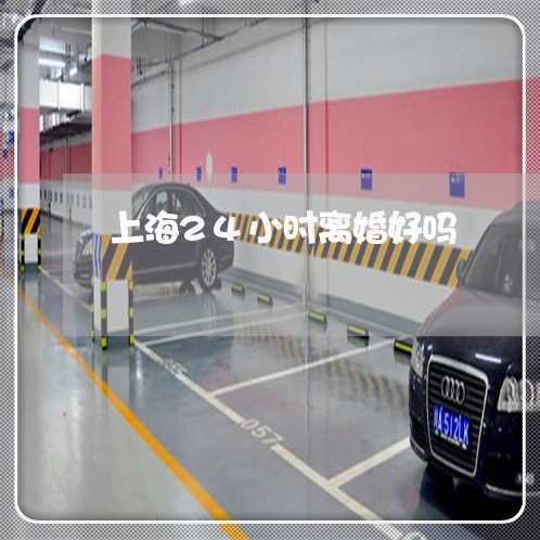 上海24小时离婚好吗/2023021417150 上海24小时离婚好吗/2023021417150